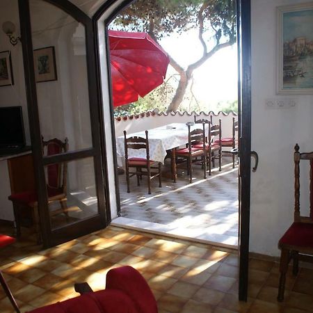 Villa Punta Donji Okrug  المظهر الخارجي الصورة